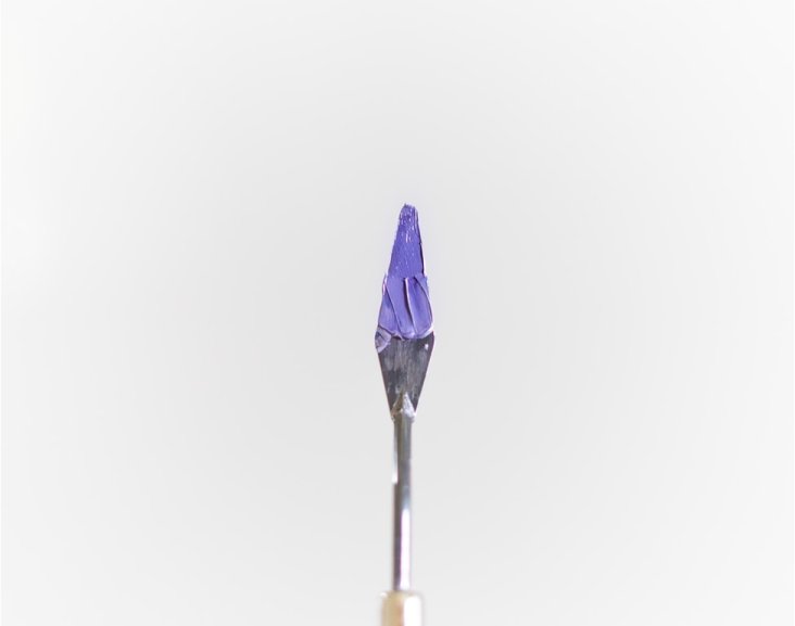 Duis lacinia convallis odio, quis efficitur dolor pulvinar nec Img 1